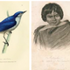 Illustration for article titled Darwin's Entire Library Aboard The HMS Beagle Is Now Available Online